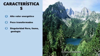CARACTERÍSTICA
S
Alto valor energético
Poco transformados
Singularidad flora, fauna,
geología
1
2
3
 