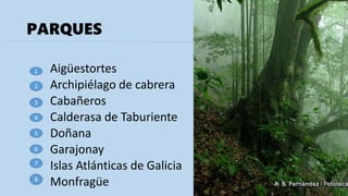 PARQUES
Aigüestortes
Archipiélago de cabrera
Cabañeros
Calderasa de Taburiente
Doñana
Garajonay
Islas Atlánticas de Galicia
Monfragüe
1
2
3
4
5
6
7
8
 