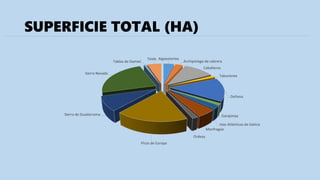 SUPERFICIE TOTAL (HA)
Aigüestortes
Archipielago de cabrera
Cabañeros
Taburiente
Doñana
Garajonay
Islas Atlánticas de Galicia
Monfragúe
Ordesa
Picos de Europa
Sierra de Guadarrama
Sierra Nevada
Tablas de Damiel
Teide
 