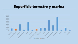 Superficie terrestre y marina
0
10,000
20,000
30,000
40,000
50,000
60,000
70,000
80,000
90,000
100,000
S.Terrestre S.Marina
 