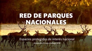RED DE PARQUES
NACIONALES
Espacios protegidos de interés nacional
Alejandra Prieto Gallego 4ºA
 