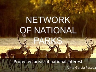 Protected areas of national interest
Alma García Pascua
NETWORK
OF NATIONAL
PARKS
 
