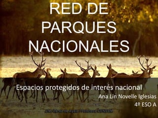 RED DE
PARQUES
NACIONALES
Espacios protegidos de interés nacional
Ana Lin Novelle Iglesias
4º ESO A
 