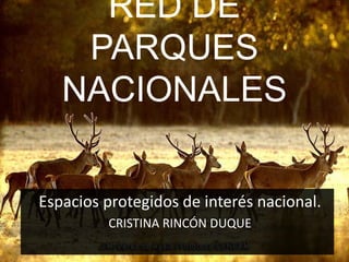 RED DE
PARQUES
NACIONALES
Espacios protegidos de interés nacional.
CRISTINA RINCÓN DUQUE
 