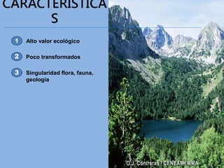 CARACTERÍSTICA
S
Alto valor ecológico1
2 Poco transformados
3 Singularidad flora, fauna,
geología
 