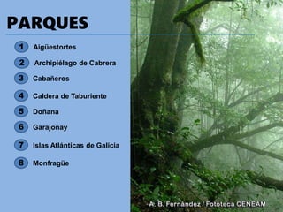 PARQUES
2 Archipiélago de Cabrera
3 Cabañeros
4 Caldera de Taburiente
5 Doñana
6 Garajonay
7 Islas Atlánticas de Galicia
8 Monfragüe
1 Aigüestortes
 