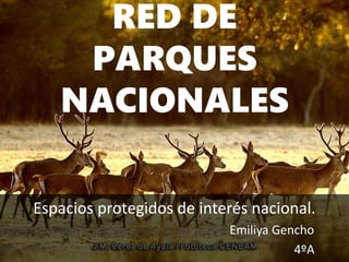 RED DE
PARQUES
NACIONALES
Espacios protegidos de interés nacional.
Emiliya Gencho
4ºA
 
