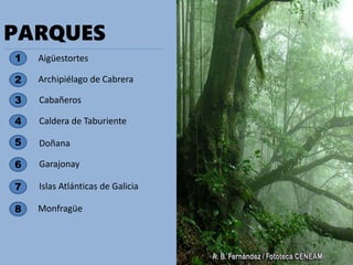 PARQUES
1
2
3
Aigüestortes
Archipiélago de Cabrera
Cabañeros
4
7
6
5
Islas Atlánticas de Galicia
Doñana
Garajonay
Caldera de Taburiente
Monfragüe8
 