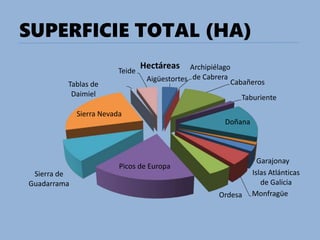 SUPERFICIE TOTAL (HA)
Aigüestortes
Archipiélago
de Cabrera
Cabañeros
Taburiente
Doñana
Garajonay
Islas Atlánticas
de Galicia
MonfragüeOrdesa
Picos de Europa
Sierra de
Guadarrama
Sierra Nevada
Tablas de
Daimiel
Teide
Hectáreas
 