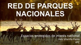 RED DE PARQUES
NACIONALES
Espacios protegidos de interés nacional
Inés Vilariño Fieira
4ºC
 