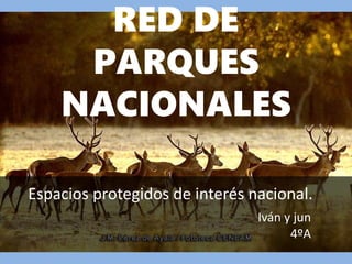 RED DE
PARQUES
NACIONALES
Espacios protegidos de interés nacional.
Iván y jun
4ºA
 