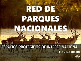 RED DE
PARQUES
NACIONALES
ESPACIOS PROTEGIDOS DE INTERÉS NACIONAL
LUIS GUERRERO
4ºA
 
