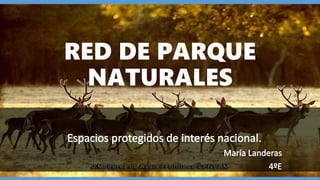 RED DE PARQUE
NATURALES
 
