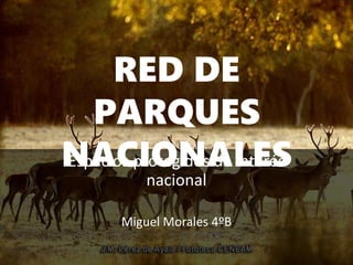 RED DE
PARQUES
NACIONALESEspacios protegidos de interés
nacional
Miguel Morales 4ºB
 
