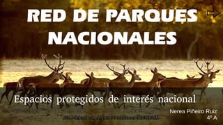 RED DE PARQUES
NACIONALES
Espacios protegidos de interés nacional
Nerea Piñeiro Ruiz
4º A
 