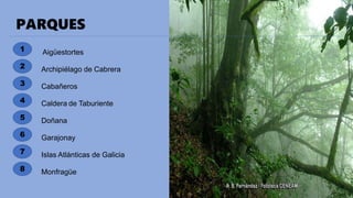 PARQUES
2
6
1
4
3
5
7
8
Aigüestortes
Archipiélago de Cabrera
Cabañeros
Caldera de Taburiente
Doñana
Garajonay
Islas Atlánticas de Galicia
Monfragüe
 