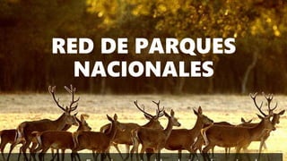 RED DE PARQUES
NACIONALES
 