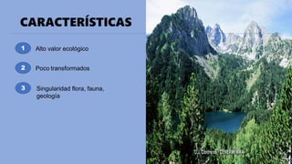 CARACTERÍSTICAS
1
2
3
Alto valor ecológico
Poco transformados
Singularidad flora, fauna,
geología