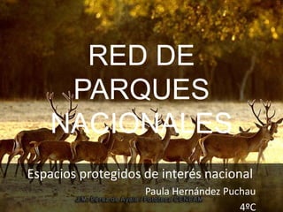 RED DE
PARQUES
NACIONALES
Espacios protegidos de interés nacional
Paula Hernández Puchau
4ºC
 