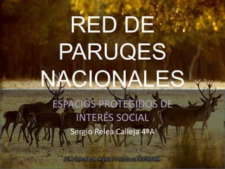 RED DE
PARUQES
NACIONALES
ESPACIOS PROTEGIDOS DE
INTERÉS SOCIAL
Sergio Relea Calleja 4ºA
 