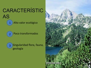 Alto valor ecológico
Poco transformados
CARACTERÍSTIC
AS
1
2
3 Singularidad flora, fauna,
geología
 