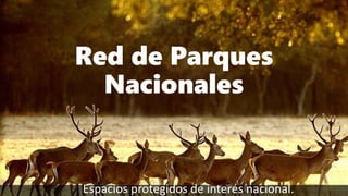 Red de Parques
Nacionales
Espacios protegidos de interés nacional.
 