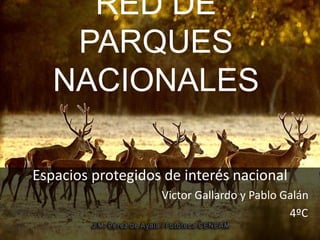 RED DE
PARQUES
NACIONALES
Espacios protegidos de interés nacional
Victor Gallardo y Pablo Galán
4ºC
 