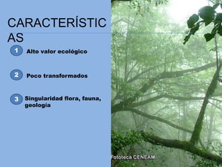 CARACTERÍSTIC
AS
1
2
3
Alto valor ecológico
Poco transformados
Singularidad flora, fauna,
geología
 