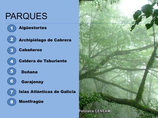 PARQUES
1
2
3
Aigüestortes
Archipiélago de Cabrera
Cabañeros
4
8
5
7
6
Caldera de Taburiente
Doñana
Garajonay
Islas Atlánticas de Galicia
Montfragüe
 