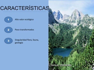 CARACTERÍSTICAS
1
2
3
Alto valor ecológico
Poco transformados
Singularidad flora, fauna,
geología
