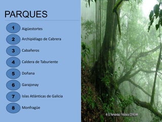 PARQUES
1
2
7
Aigüestortes
Archipiélago de Cabrera
Cabañeros
4
5
6
3
8
Caldera de Taburiente
Doñana
Garajonay
Islas Atlánticas de Galicia
Monfragüe