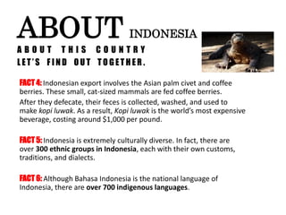 A B O U T T H I S C O U N T R Y
L ET ’ S F I N D O U T T O G ET H E R .
ABOUT INDONESIA
FACT 4: Indonesian export involves the Asian palm civet and coffee
berries. These small, cat-sized mammals are fed coffee berries.
After they defecate, their feces is collected, washed, and used to
make kopi luwak. As a result, Kopi luwak is the world’s most expensive
beverage, costing around $1,000 per pound.
FACT 5: Indonesia is extremely culturally diverse. In fact, there are
over 300 ethnic groups in Indonesia, each with their own customs,
traditions, and dialects.
FACT 6: Although Bahasa Indonesia is the national language of
Indonesia, there are over 700 indigenous languages.
 