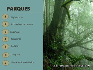 PARQUES
1 Aigüestortes
2 Archipiélago de cabrera
3 Cabañeros
4 Taburiente
5
6
7
Doñana
Garajonay
Islas Atlánticas de Galicia
 