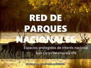 RED DE
PARQUES
NACIONALES
Espacios protegidos de interés nacional
Juan Carlos Vela Huebra 4ºB
 