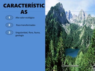 CARACTERÍSTIC
AS
1
2
3
Alto valor ecológico
Poco transformados
Singularidad, flora, fauna,
geología
 