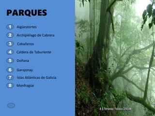 PARQUES
1
3
2
4
5
6
7
8
Aigüestortes
Archipiélago de Cabrera
Cabañeros
Caldera de Taburiente
Doñana
Garajonay
Islas Atlánticas de Galicia
Monfragüe
 