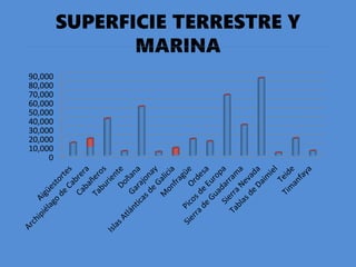 SUPERFICIE TERRESTRE Y
MARINA
0
10,000
20,000
30,000
40,000
50,000
60,000
70,000
80,000
90,000
 