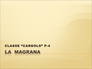 CLASSE “CARGOLS” P-4 