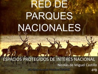 RED DE
PARQUES
NACIONALES
ESPACIOS PROTEGIDOS DE INTERÉS NACIONAL
Nicolás de Miguel Castillo
4ºB
 