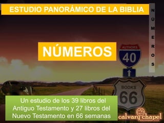 N
Ú
M
E
R
O
S
ESTUDIO PANORÁMICO DE LA BIBLIA
Un estudio de los 39 libros del
Antiguo Testamento y 27 libros del
Nuevo Testamento en 66 semanas
NÚMEROS
 