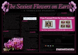 – A TIMELESS PASSION –
T     hey are among the oldest flowering plants on Earth – at 100 million                                      the world’s sexiest flower, or complete the order                                                              miniatures Passion4Orchids will also include a
                                                                                                               form below. Act NOW if you want to buy the                                                                     £5 voucher for use against future purchases. Or,
      years old they pre-date the extinction of the dinosaurs.
                                                                                                               limited edition numbered set of four as well.                                                                  buy four sets and get a fifth set FREE, plus four
   There are more than 35,000 species and 100,000      prints of his work, which promise to become               If you purchase more than one set of four                                                                    vouchers. Guaranteed delivery before Christmas.
hybrids and the only place in the world they don’t     collectors’ items.
grow is Antarctica and the Gobi Desert.
   The orchid inflames human passion more than
romance and over the last three centuries dozens of
                                                                                                                  Free Framed Print for Every Reader
people have died while hunting them.
   The Victorians had a name for orchid obsession         Passion4Orchids supports the work of Orchid,
– orchidelerium. Orchidophiles still go looking for    the only UK charity to focus entirely on three
them today and in 2000 two Britons on a collecting     uniquely male cancers – prostate, penile and
expedition in Columbia, merchant banker Paul           testicular cancers – and 5% of the sale price of
Winder and horticulturist Tom Hart Dyke, were          every orchid picture is donated to the charity.
kidnapped by terrorists and held for nine months.         Michael Morris has his first major public
   The orchid has a mysterious power of seduction      exhibition of orchid photographs at the National
– and now you too can share in the passion for this    Botanic Garden for Wales at Carmarthen from 18
enchanting flower, without leaving the comfort of      August to 14 September.
your home!                                                It also coincides with an International Orchid
   Specialist photographer Michael Morris, from        Conference at the Gardens on the weekend of 5/6                   Set of four miniatures just £19.99 plus p&p (while stocks last).
Passion4Orchids, first photographed orchids            September.
growing wild in the early 70’s and his expertise has      To mark the occasion Passion4Orchids is              Visit www.passion4orchids.co.uk and order your free print online. Alternatively, complete the form below
been recognised by the Royal Botanic Garden at         offering readers an exclusive 5" x 4" (125 x            and mail us your cheque, made payable to Passion 4 Orchids Ltd, or your credit card details.
Kew, by the National Botanic Garden of Wales and       100mm) picture worth £16.50 absolutely FREE.            We offer a quibble-free, 28 day guarantee of complete satisfaction or your money back.
at the Eden Project in Cornwall.                       It’s hand mounted and hand framed by the 2008
   Now he’s decided to share his passion for           British Framers of the Year in real wood and             Name .................................................................................................................................. Offer closes xxxxxxxxxxxxxxx
orchidacea and offer breathtaking limited edition      glass – all you pay is £2.99 for postage, packing        Address ............................................................................................................................................................................................................
                                                                and insurance.                                  ............................................................................................................................................... Postcode .........................................................
                                                                   Alternatively you can buy the limited        Telephone ..................................................................................... Email ...................................................................................................
                                                                edition, numbered set of four hand-framed       No ........... Free framed print only                                                            FREE + £2.99 p&p
                                                                miniatures as well, which will grace the
                                                                                                                No ........... Set(s) of four framed miniatures                                                  £19.99 + £3.99 p&p
                                                                walls, dressing tables or sideboards of
                                                                                                                No ........... Set of four, plus free print                                                      £19.99 + £4.99 p&p
                                                                your home. They also make great presents
                                                                and come with numbered certificates of          Total                                                                                            £ .................................
                                                                authentication, signed by Michael Morris.       If you wish to order additional sets as gifts and have them mailed to a different address, please order online.
                                                                   They normally cost £76.50 – but they can     I enclose a cheque for £.......................................
                                                                be yours, with your single framed miniature     I wish to pay by                                                                                 Issue No. (Maestro & Solo only)
                                                                for just £19.99, plus £4.99 postage, packing    Start Date                      /                   Expiry Date                      /                    Security Code (final 3 numerals on signature strip)
                                                                and insurance. That’s a saving of over £50
                                                                                                                Card No. (longest number across centre of card)
                                                                for XXXXX readers!
                                                                   Visit www.passion4orchids.co.uk today to     Send to: Passion4Orchids xxxxxxxxxxxx Offer
                                                                                                                PO Box XXX, Nailsea, Bristol BS48 XXX
                                                                claim your FREE framed print to enjoy
                                                                                                                Tel. 0117 360 1060                                                                                                                           This offer is the copyright of Passion4Orchids Ltd.
                                                                the passion and breathtaking images of
 