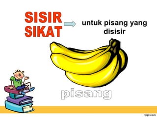 untuk pisang yang
disisir

 