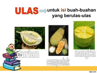 untuk isi buah-buahan
yang berulas-ulas

 