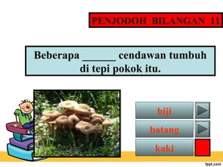 PENJODOH BILANGAN 11

Beberapa ______ cendawan tumbuh
di tepi pokok itu.

biji
batang
kaki

 
