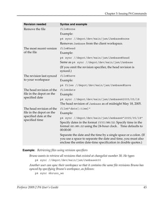 P4 perforce | PDF