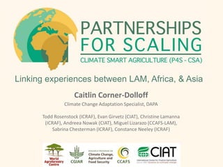 Linking experiences between LAM, Africa, & Asia
Caitlin Corner-Dolloff
Climate Change Adaptation Specialist, DAPA
Todd Rosenstock (ICRAF), Evan Girvetz (CIAT), Christine Lamanna
(ICRAF), Andreea Nowak (CIAT), Miguel Lizarazo (CCAFS-LAM),
Sabrina Chesterman (ICRAF), Constance Neeley (ICRAF)
 