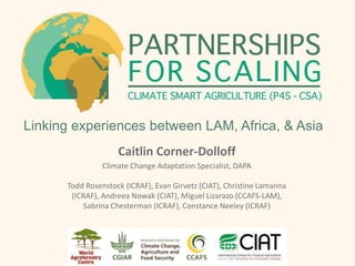 Linking experiences between LAM, Africa, & Asia
Caitlin Corner-Dolloff
Climate Change Adaptation Specialist, DAPA
Todd Ros...
