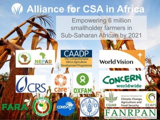 Linking experiences between LAM, Africa, & Asia