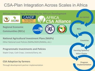 Linking experiences between LAM, Africa, & Asia