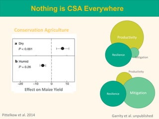 Linking experiences between LAM, Africa, & Asia